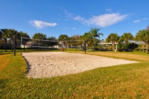 Volleyball Court